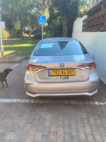טויוטה קורולה
