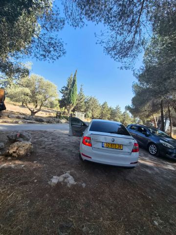 סקודה אוקטביה 