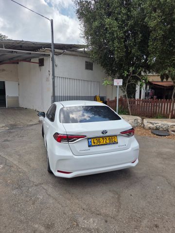טויוטה קורולה