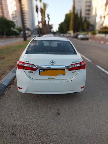 טויוטה קורולה