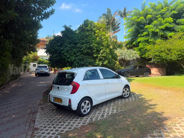 קיה פיקנטו