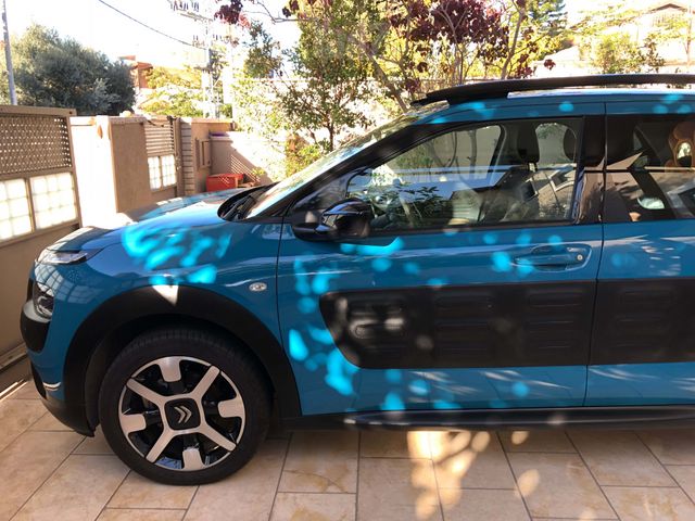 סיטרואן C4