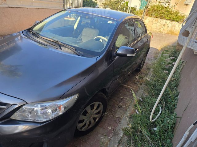 טויוטה קורולה