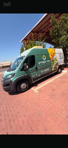 פיג'ו בוקסר