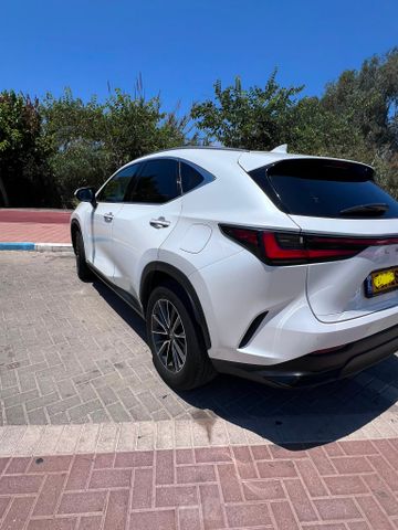 לקסוס NX
