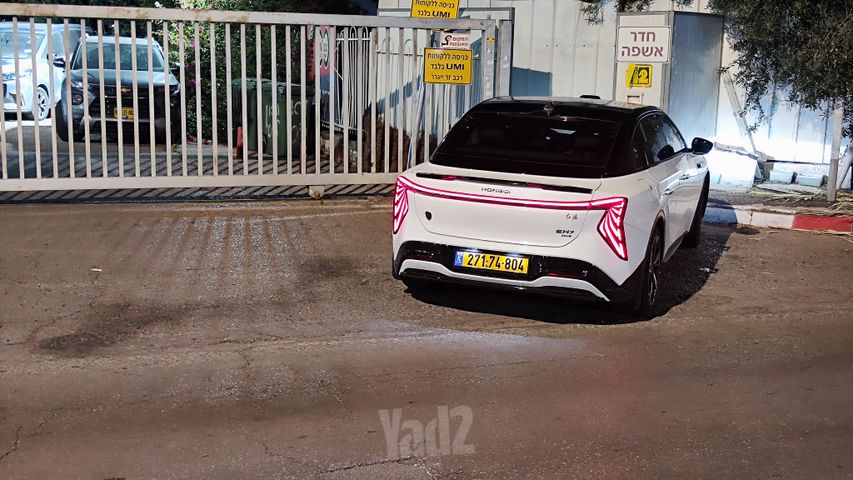 הונגצ'י הוסדו