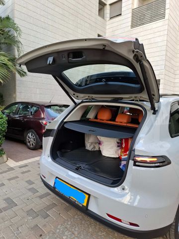 ליפמוטור C10