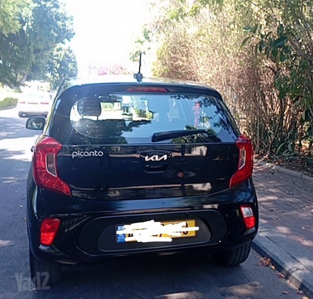 קיה פיקנטו