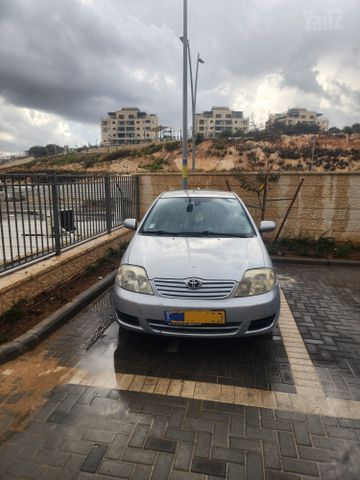 טויוטה קורולה