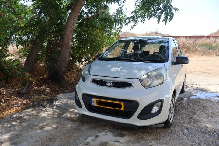 קיה פיקנטו