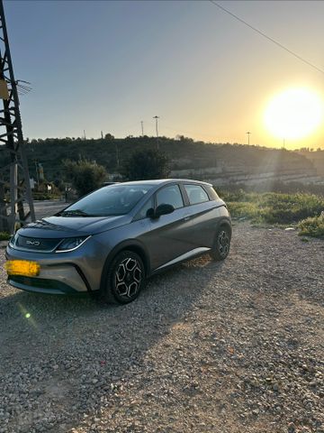 בי.ווי.די דולפין