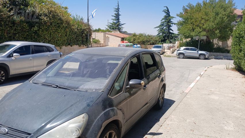 פורד S-מקס