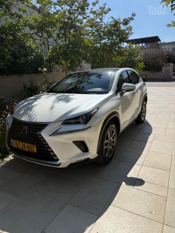 לקסוס NX