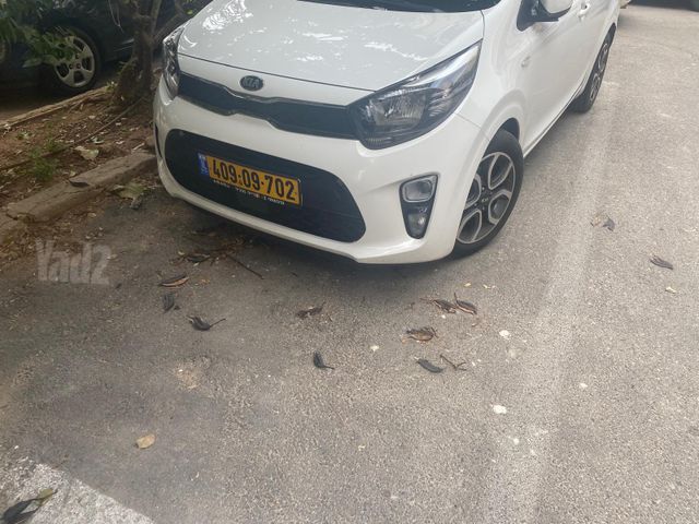 קיה פיקנטו
