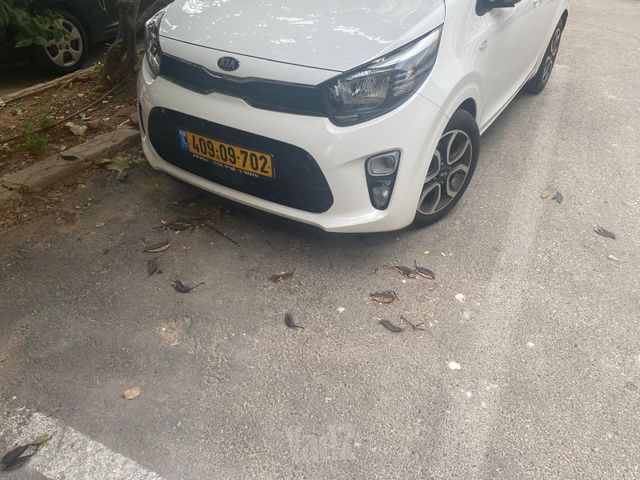 קיה פיקנטו