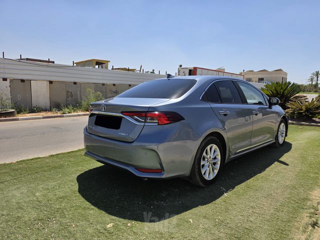 טויוטה קורולה