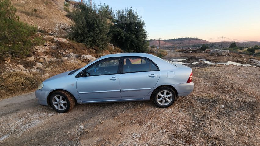 טויוטה קורולה