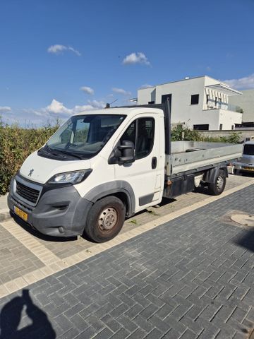 פיג'ו בוקסר