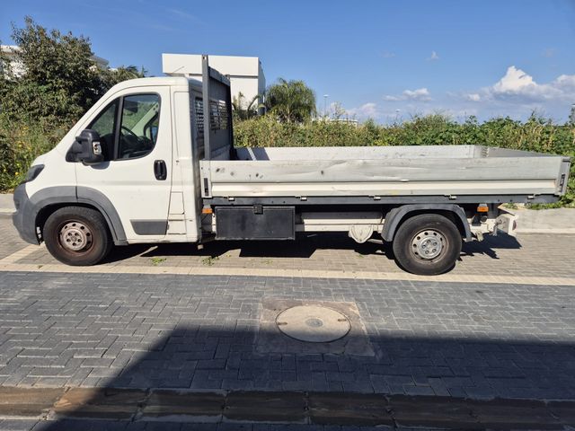 פיג'ו בוקסר