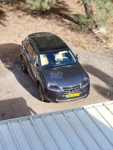 לקסוס NX