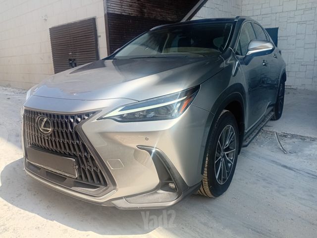 NX Hadori פלאג-אין אוט׳ 2.5 (185 כ״ס)