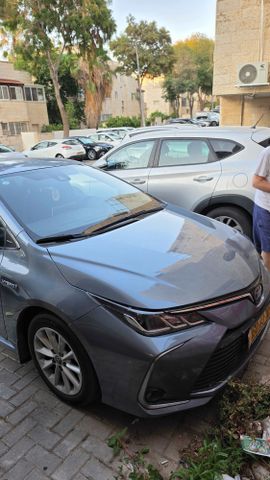 טויוטה קורולה