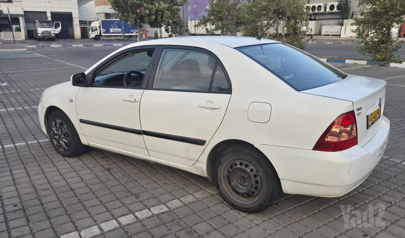 טויוטה קורולה