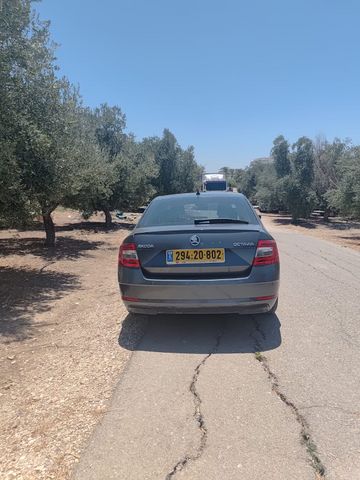 סקודה אוקטביה