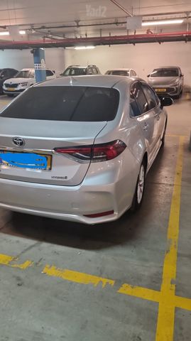 טויוטה קורולה