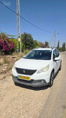 פיג'ו 2008