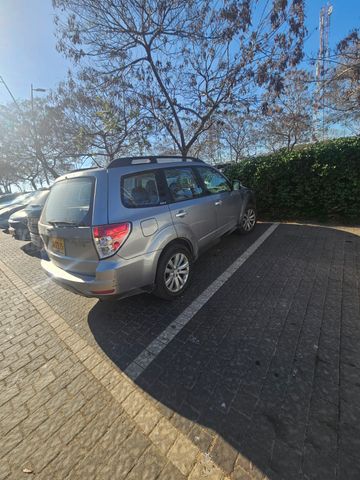 סובארו פורסטר