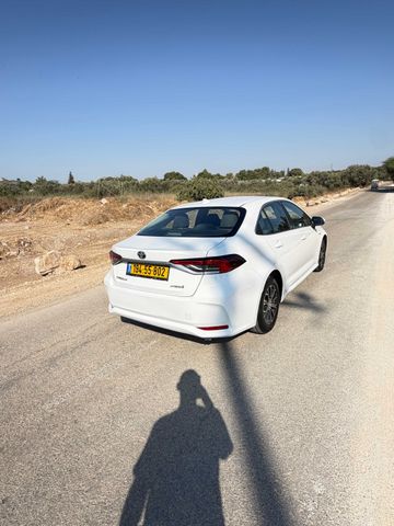 טויוטה קורולה