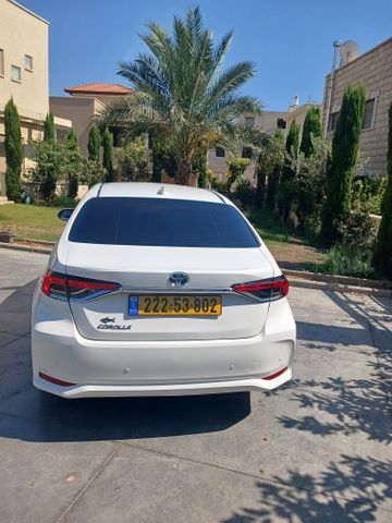 טויוטה קורולה