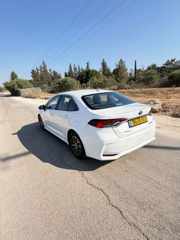 טויוטה קורולה