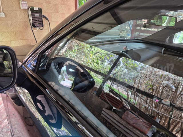 פורתינג פריידי
