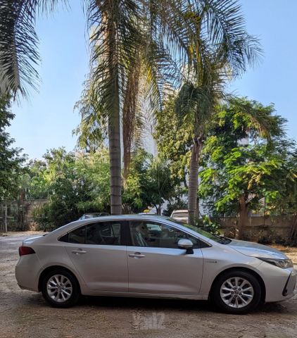 טויוטה קורולה