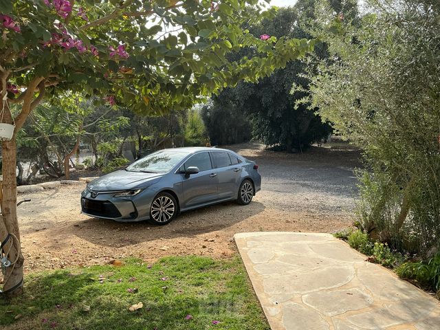 טויוטה קורולה
