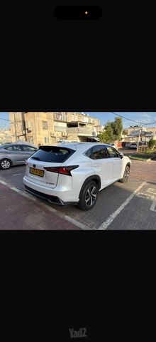 לקסוס NX