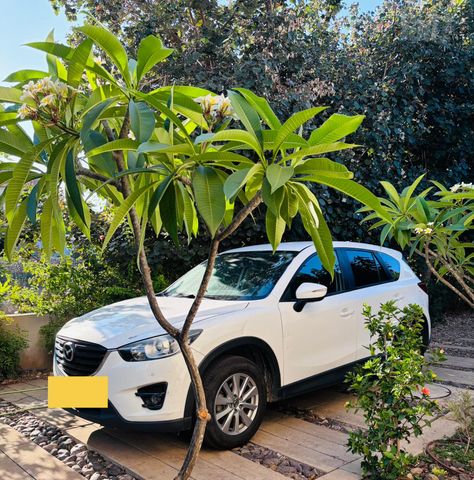 CX-5 4X2 Executive אוט׳ 2.0 (165 כ״ס) [2015-2018]
