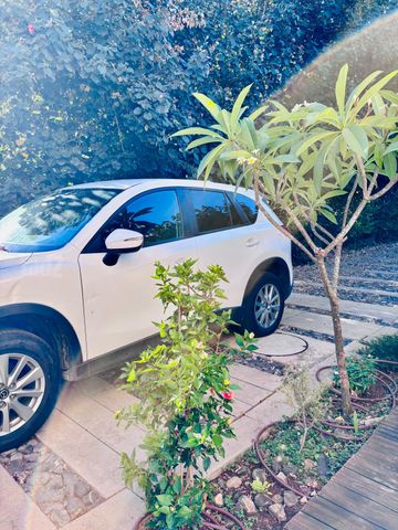 מאזדה CX-5