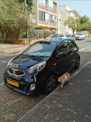 מודעת רכב קיה פיקנטו