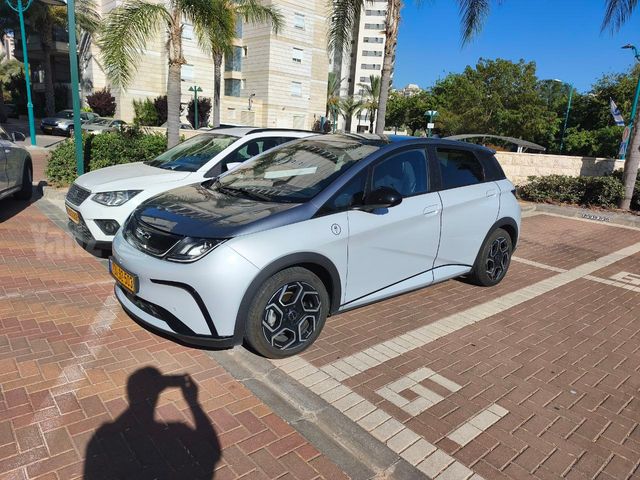 בי.ווי.די דולפין