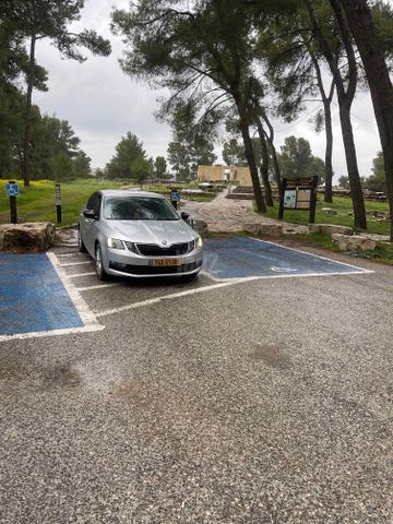 סקודה אוקטביה
