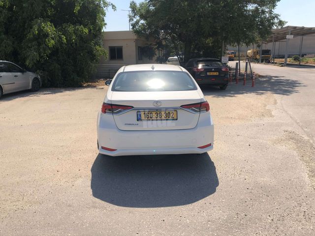 טויוטה קורולה