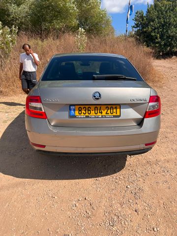סקודה אוקטביה