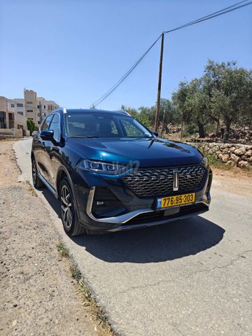 ויי קופי 02