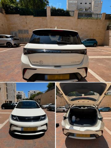 בי.ווי.די דולפין