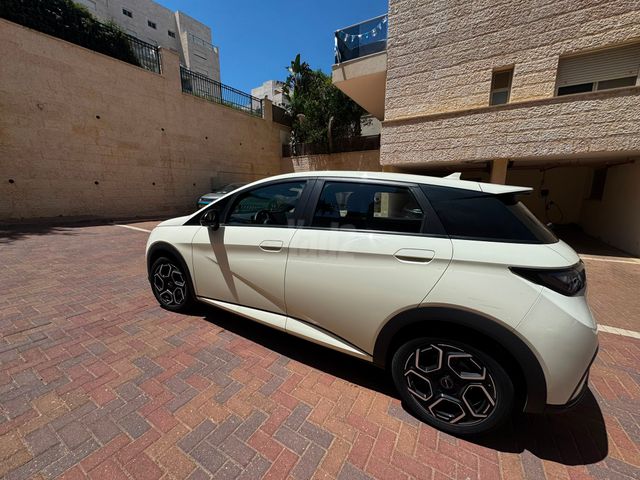 בי.ווי.די דולפין