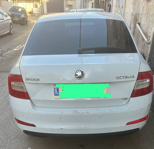 סקודה ראפיד