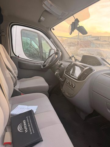 מקסוס V80